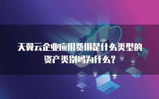 天翼云企业应用费用是什么类型的资产类别吗为什么?