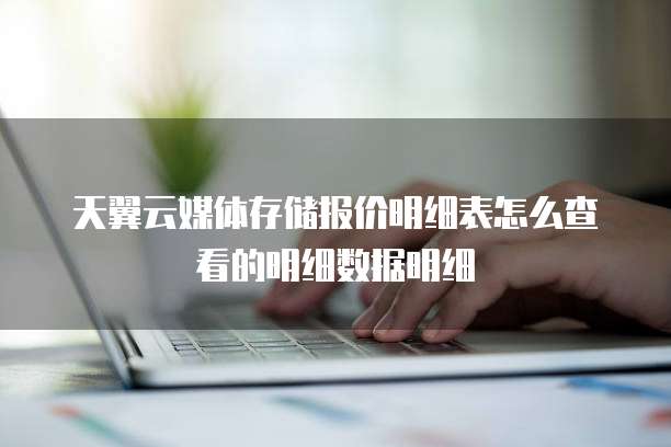 天翼云媒体存储报价明细表怎么查看的明细数据明细