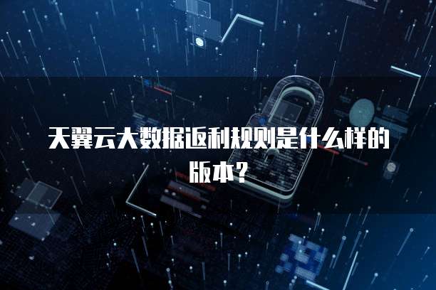 天翼云大数据返利规则是什么样的版本?