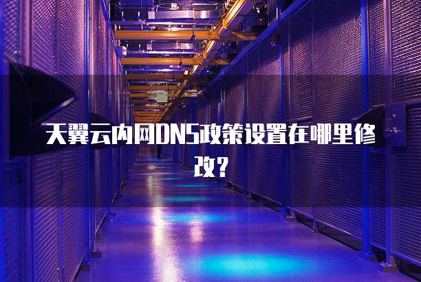 天翼云内网DNS政策设置在哪里修改?