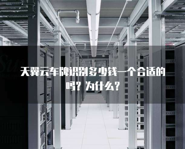 天翼云车牌识别多少钱一个合适的吗?为什么?