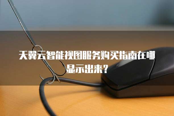 天翼云智能视图服务购买指南在哪显示出来？