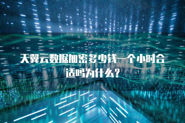 天翼云数据加密多少钱一个小时合适吗为什么?