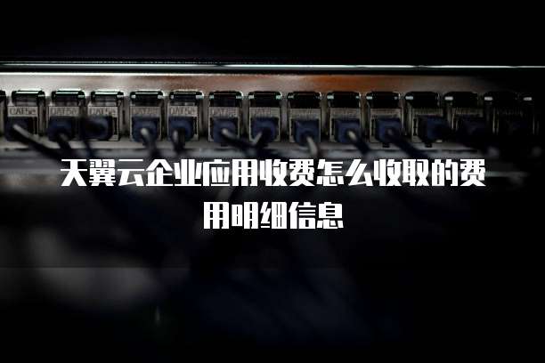 天翼云企业应用收费怎么收取的费用明细信息