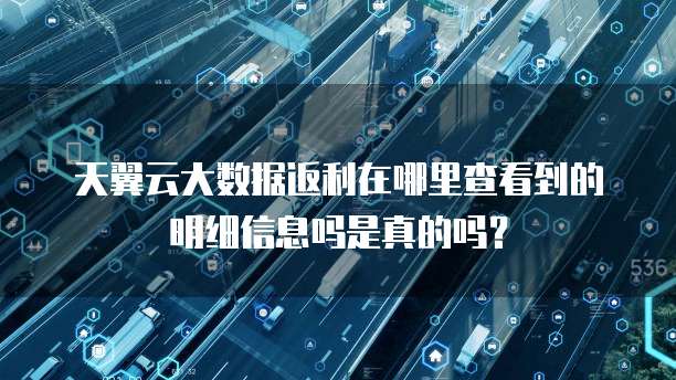 天翼云大数据返利在哪里查看到的明细信息吗是真的吗?