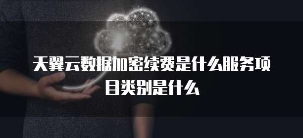 天翼云数据加密续费是什么服务项目类别是什么