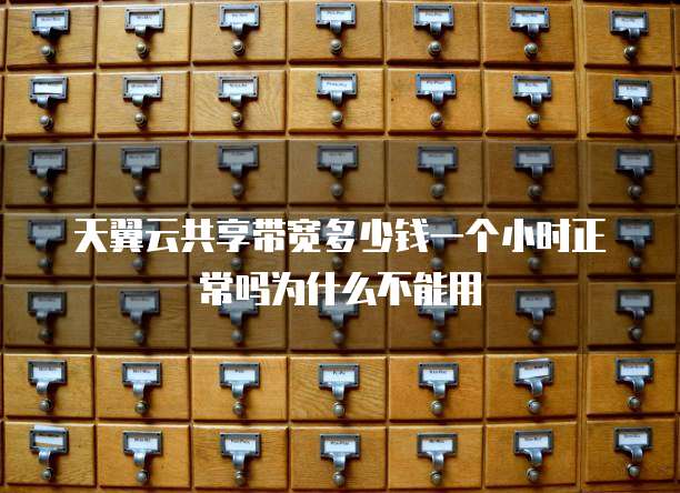 天翼云共享带宽多少钱一个小时正常吗为什么不能用