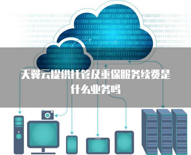 天翼云提供托管及重保服务续费是什么业务吗