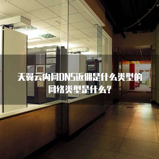 天翼云内网DNS返佣是什么类型的网络类型是什么?