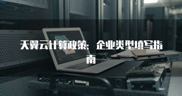 天翼云计算政策:企业类型填写指南