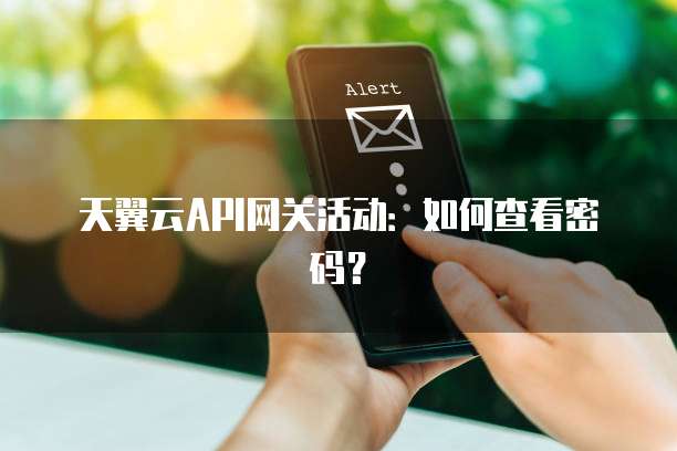 天翼云API网关活动:如何查看密码?