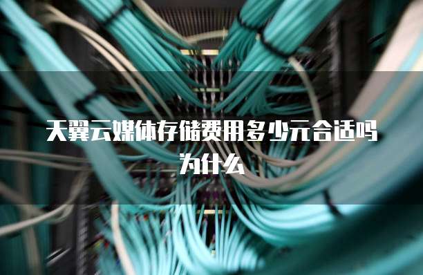 天翼云媒体存储费用多少元合适吗为什么