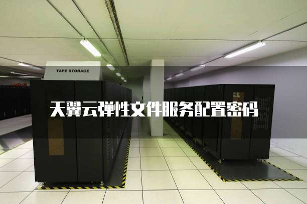 天翼云弹性文件服务配置密码