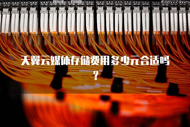 天翼云媒体存储费用多少元合适吗?