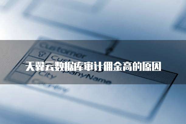 天翼云数据库审计佣金高的原因