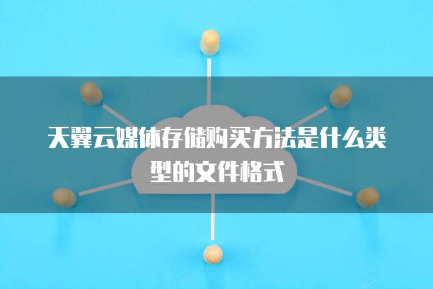 天翼云媒体存储购买方法是什么类型的文件格式