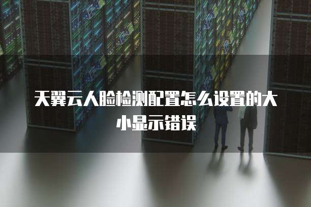 天翼云人脸检测配置怎么设置的大小显示错误