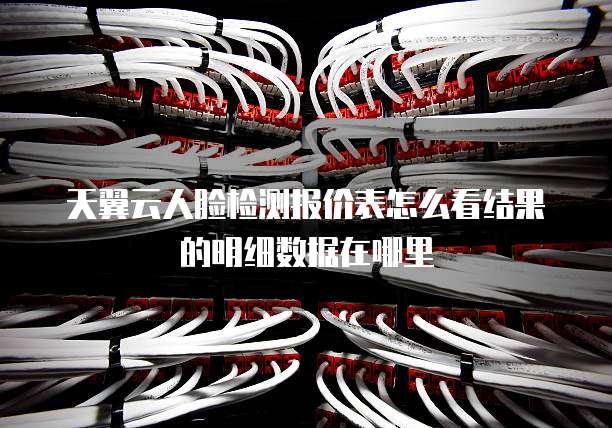 天翼云人脸检测报价表怎么看结果的明细数据在哪里