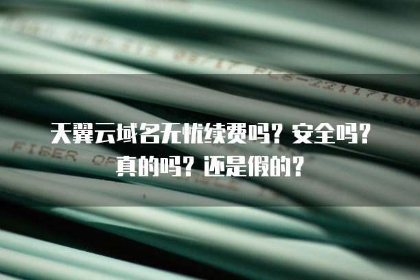 天翼云域名无忧续费吗?安全吗?真的吗?还是假的?