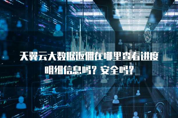 天翼云大数据返佣在哪里查看进度明细信息吗?安全吗?