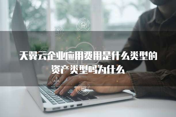 天翼云企业应用费用是什么类型的资产类型吗为什么