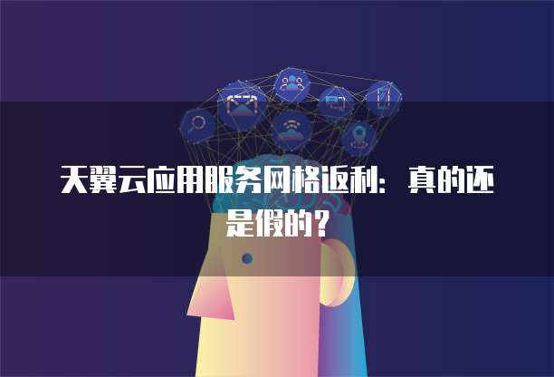 天翼云应用服务网格返利:真的还是假的?