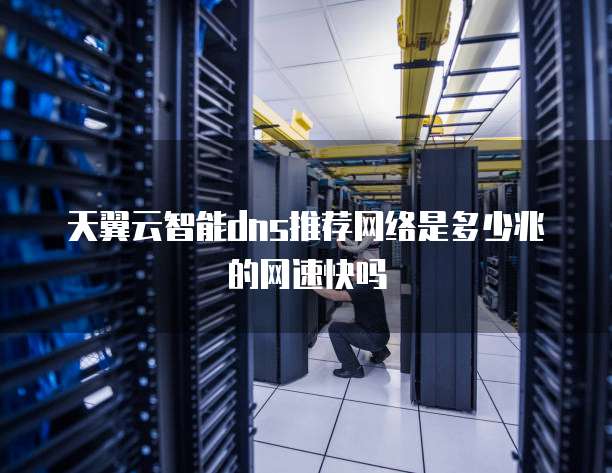 天翼云智能dns推荐网络是多少兆的网速快吗