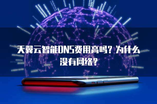 天翼云智能DNS费用高吗?为什么没有网络?