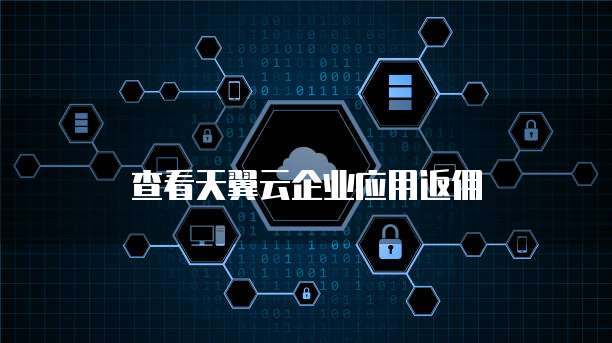 查看天翼云企业应用返佣