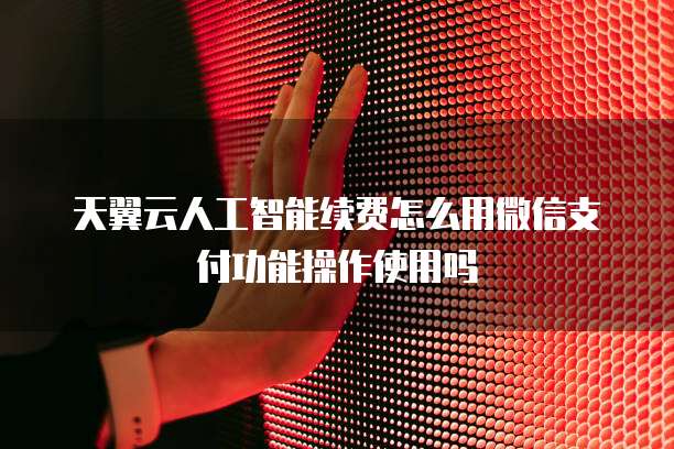 天翼云人工智能续费怎么用微信支付功能操作使用吗