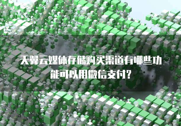 天翼云媒体存储购买渠道有哪些功能可以用微信支付？