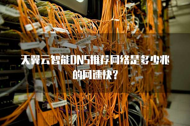 天翼云智能DNS推荐网络是多少兆的网速快?