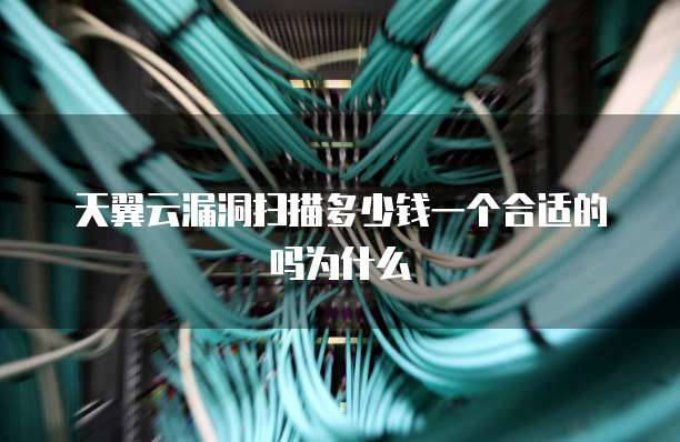 天翼云漏洞扫描多少钱一个合适的吗为什么