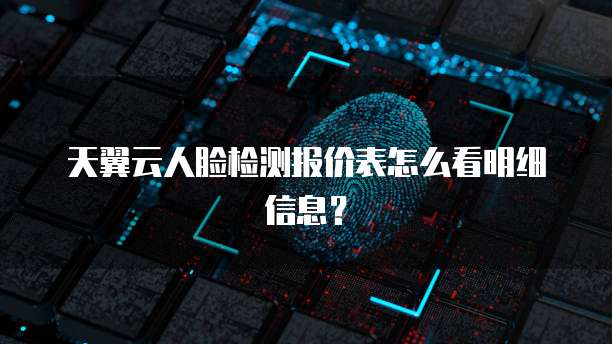 天翼云人脸检测报价表怎么看明细信息?