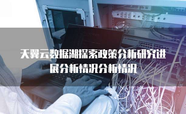 天翼云数据湖探索政策分析研究进展分析情况分析情况