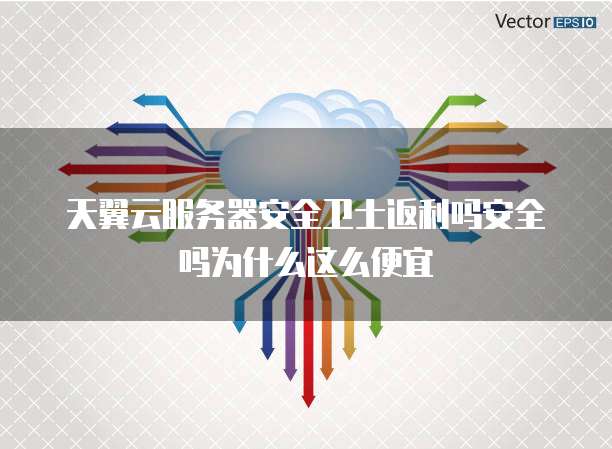 天翼云服务器安全卫士返利吗安全吗为什么这么便宜