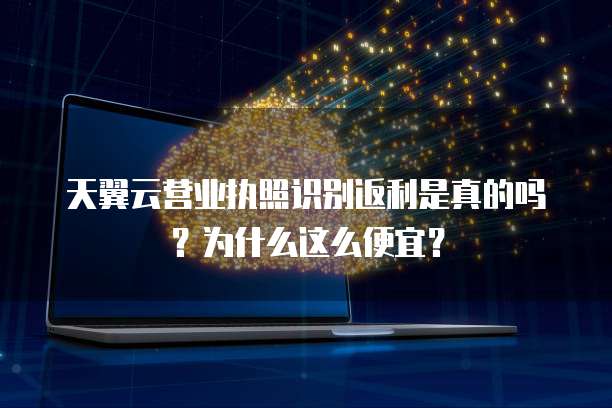 天翼云营业执照识别返利是真的吗？为什么这么便宜？