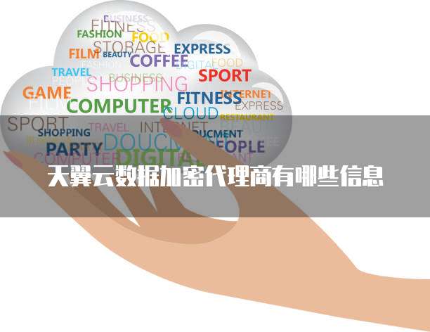天翼云数据加密代理商有哪些信息