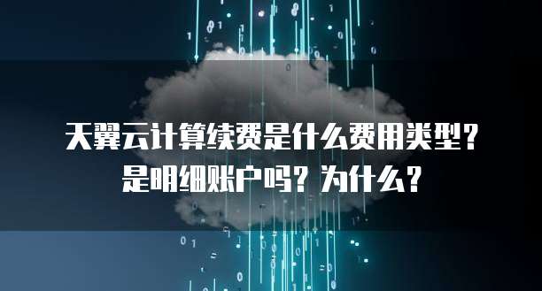 天翼云计算续费是什么费用类型？是明细账户吗？为什么？