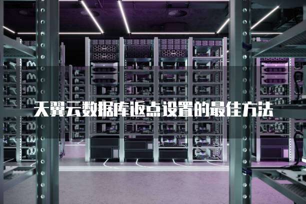 天翼云数据库返点设置的最佳方法