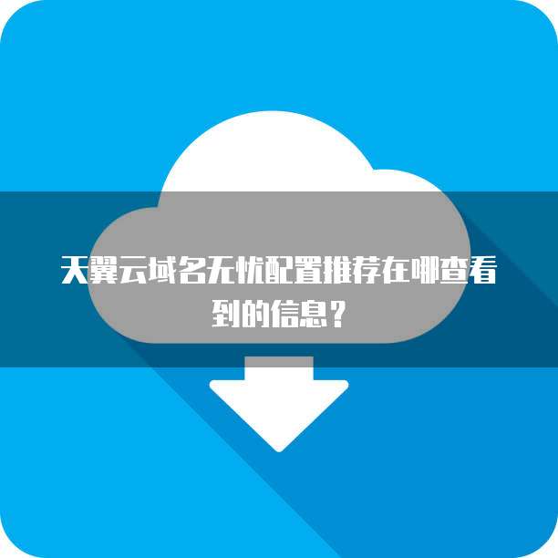 天翼云域名无忧配置推荐在哪查看到的信息？