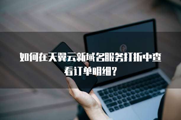 如何在天翼云新域名服务打折中查看订单明细?