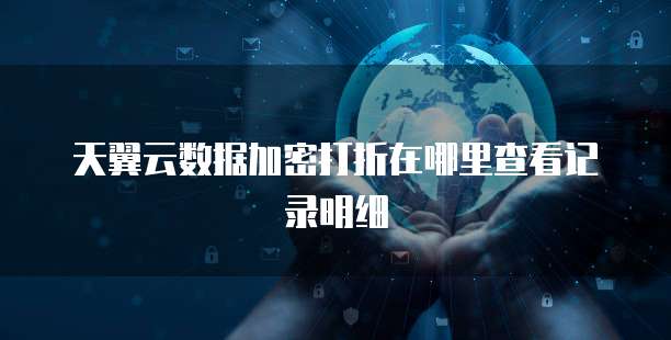 天翼云数据加密打折在哪里查看记录明细