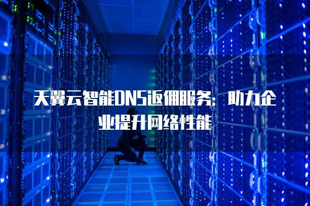 天翼云智能DNS返佣服务:助力企业提升网络性能