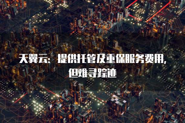 天翼云:提供托管及重保服务费用,但难寻踪迹