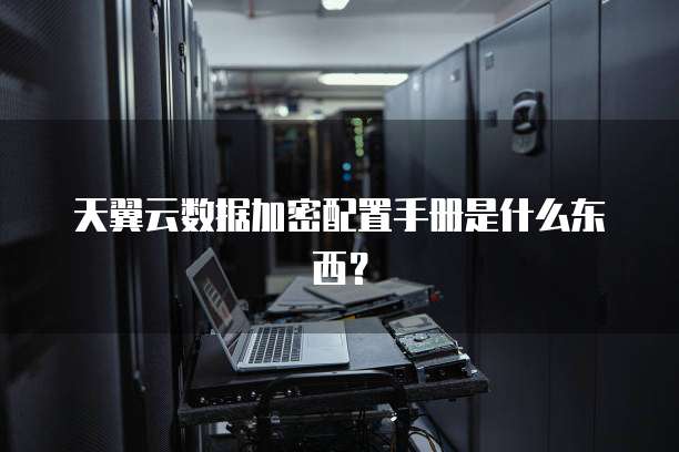 天翼云数据加密配置手册是什么东西?