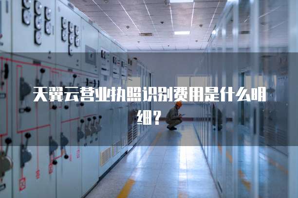 天翼云营业执照识别费用是什么明细?