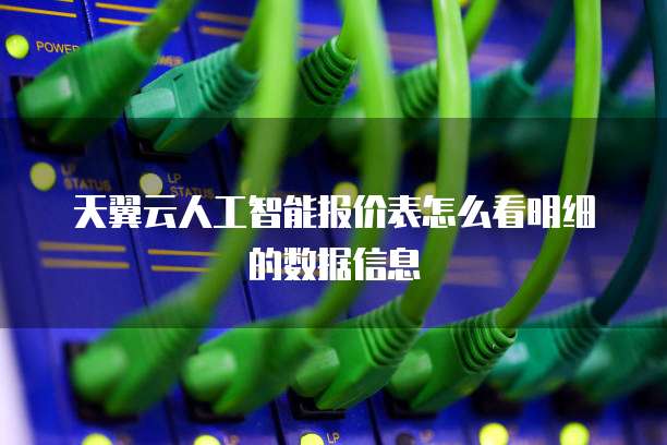 天翼云人工智能报价表怎么看明细的数据信息