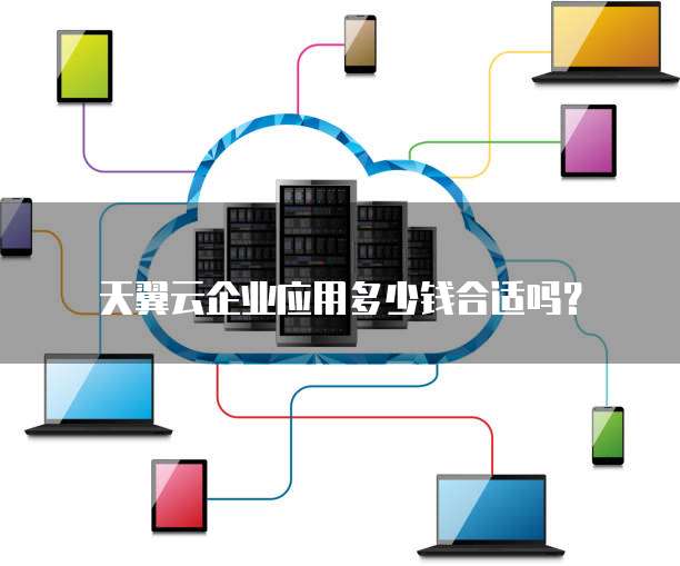 天翼云企业应用多少钱合适吗?