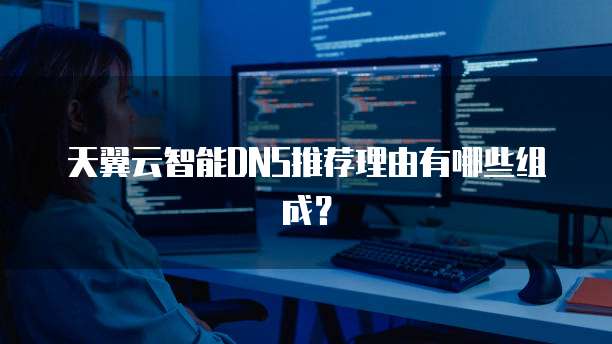 天翼云智能DNS推荐理由有哪些组成?